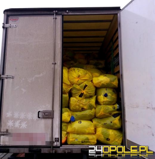 14 skontrolowanych busów, 12 ukaranych mandatami kierowców z zakazem dalszej jazdy