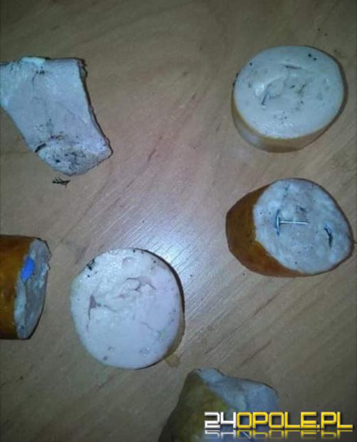 Mięso z pinezkami rozrzucone w Niemodlinie. Uważajcie na swoje pupile