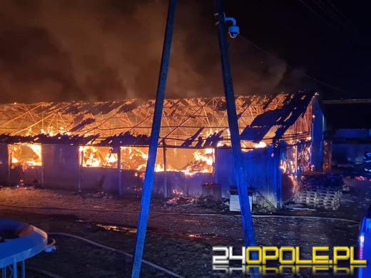 Duży pożar w powiecie nyskim. Płonie magazyn z opakowaniami na jajka