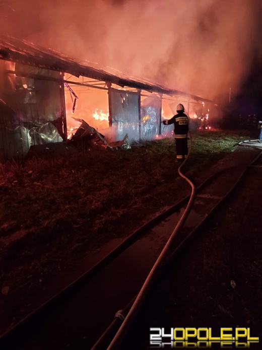 Strażacy nadal walczą z dogaszaniem pożaru na fermie we Włostowej