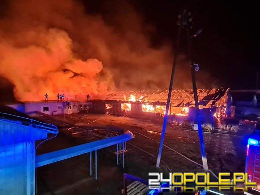 Strażacy nadal walczą z dogaszaniem pożaru na fermie we Włostowej