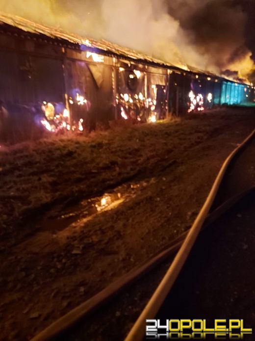 Strażacy nadal walczą z dogaszaniem pożaru na fermie we Włostowej