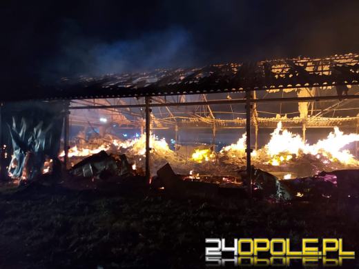 Strażacy nadal walczą z dogaszaniem pożaru na fermie we Włostowej