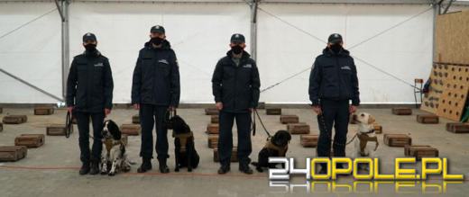 Jako pierwsze w Polsce pomogą w wykrywaniu COVID-19