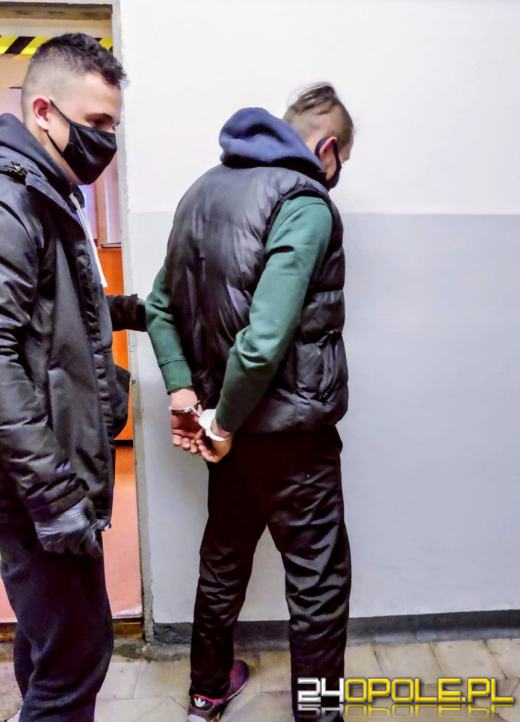 Tymczasowy areszt za liczne przestępstwa