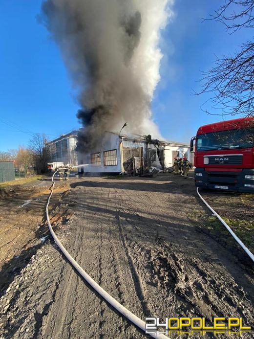Pożar w Maciejowicach w powiecie nyskim. Eksplodowała butla z gazem