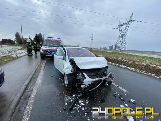 Wypadek w Zalesiu Śląskim. Wśród rannych dwójka dzieci