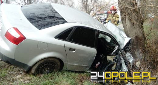 Pijany kierowca uderzył w drzewo. Pasażerka zmarła w szpitalu