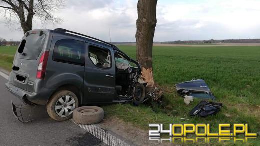 Kierowca citroena uderzył w drzewo. 3 osoby trafiły do szpitala 
