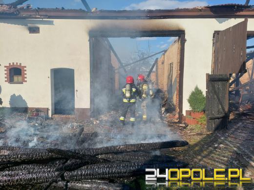 Pożar budynków gospodarczych w Niemodlinie. W akcji kilkanaście zastępów straży