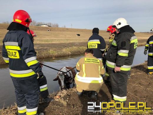 Dziś swoje święto obchodzą strażacy!