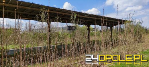 Zabytkowy dworzec na sprzedaż. Za 1,5 miliona złotych