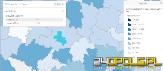 W samym Opolu blisko 4 tysiące wolnych terminów na szczepienia na najbliższy tydzień