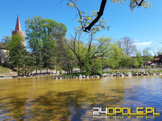 Miejskie fontanny znów zachwycają