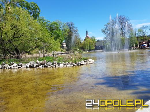 Miejskie fontanny znów zachwycają