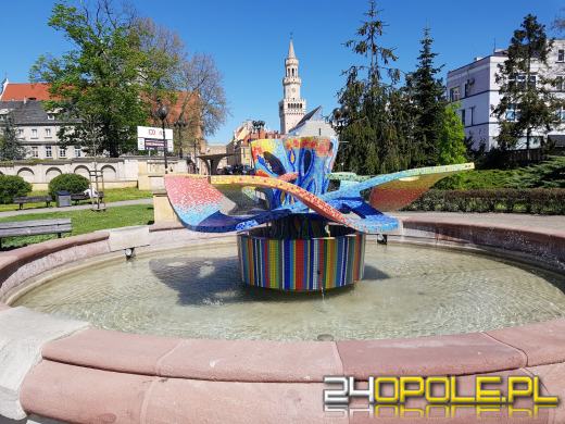Miejskie fontanny znów zachwycają