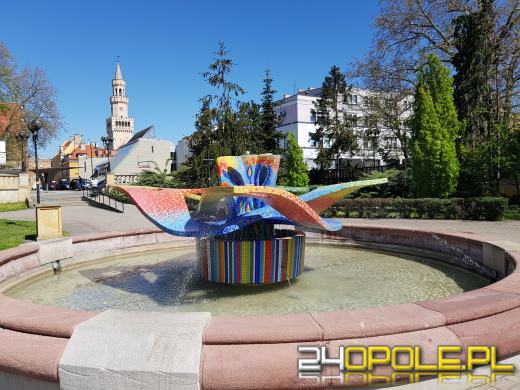 Miejskie fontanny znów zachwycają