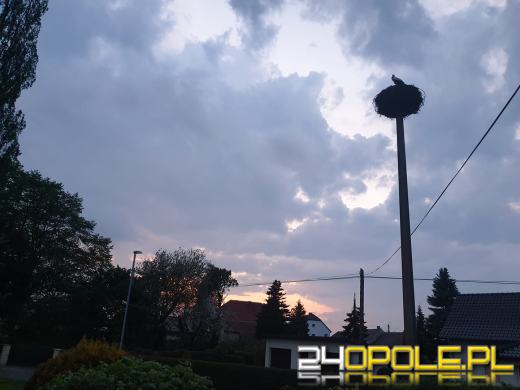 Strażacy podsumowali burzową noc. Czytelnicy nadesłali dużo zdjęć 