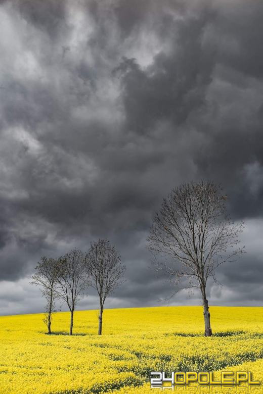 Strażacy podsumowali burzową noc. Czytelnicy nadesłali dużo zdjęć 