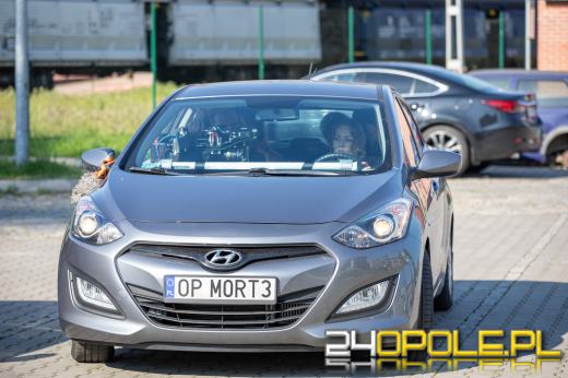 Zdjęcia do serialu w Opolu potrwają pięć dni