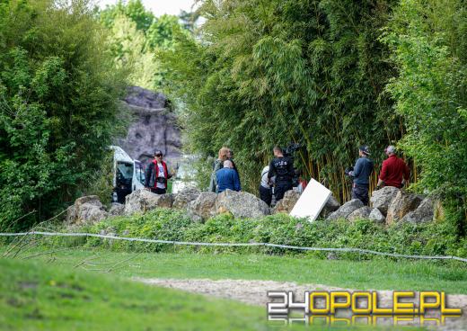 Zakończono zdjęcia do serialu "Behawiorysta"