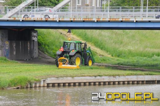 W Opolu rozpoczęto koszenie traw, ale tylko w miejscach strategicznych
