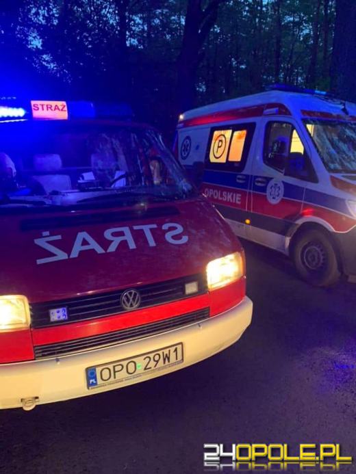 Wypadek pomiędzy Kadłubem Turawskim a Rzędowem. Samochód uderzył w drzewo 