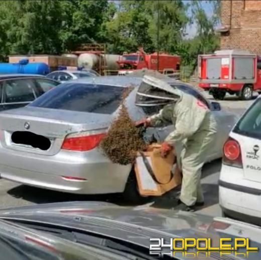 Nietypowe odwiedziny w Komendzie PSP w Kędzierzynie-Koźlu