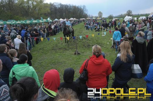 Wiwern - smok z dwiema łapami w Opolu