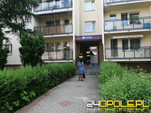 Ulatniający się gaz w mieszkaniu. Strażacy wyważyli drzwi
