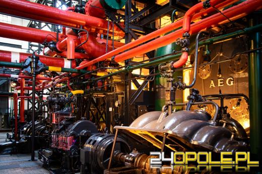 Kącik wypoczynkowy w niewielkim ogrodzie - sprawdź, jak go urządzić!