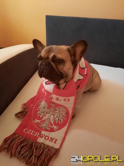 Dziś mecz Polska-Hiszpania. Opolanie w swoich strefach kibica