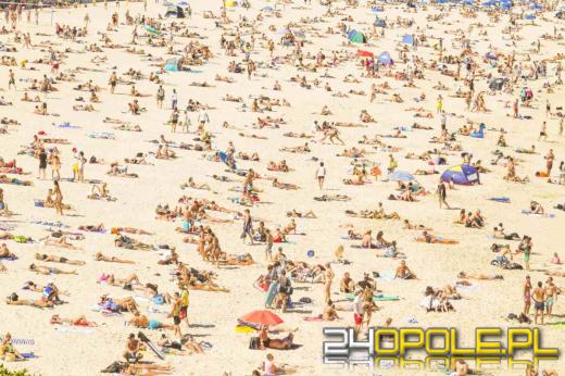 Eksperci wskazali, kiedy jechać na wakacje, żeby uniknąć tłoku