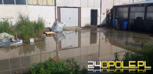 Strażacy walczą ze skutkami ulewy i burzy w województwie opolskim