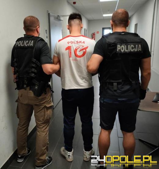 Zlikwidowano plantację konopii. Zabezpieczono 280 krzewów i ponad 50 kg suszu!