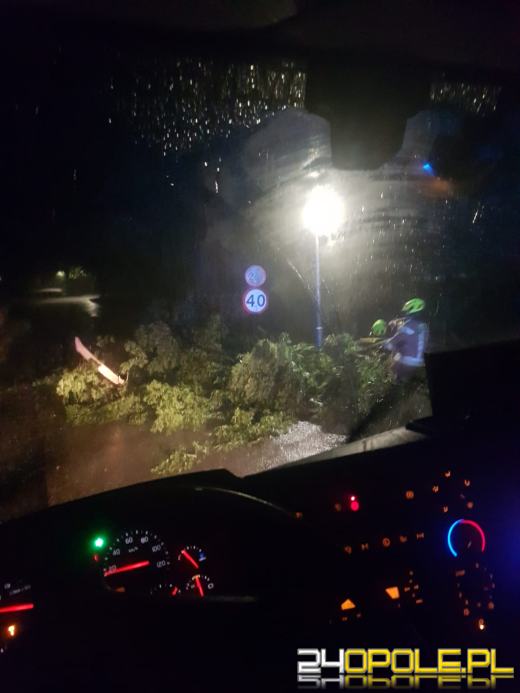 Blisko 150 interwencji strażaków po przejściu burzy na Opolszczyźnie