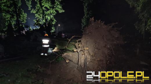 Blisko 150 interwencji strażaków po przejściu burzy na Opolszczyźnie
