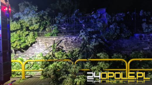 Blisko 150 interwencji strażaków po przejściu burzy na Opolszczyźnie
