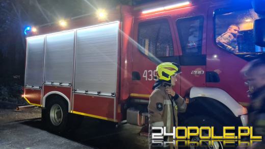 Blisko 150 interwencji strażaków po przejściu burzy na Opolszczyźnie
