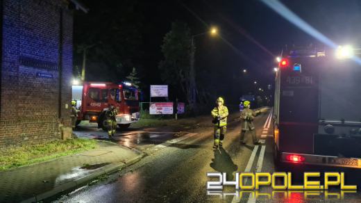Blisko 150 interwencji strażaków po przejściu burzy na Opolszczyźnie