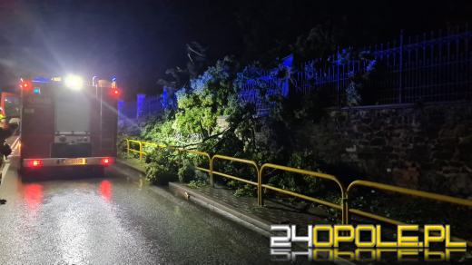 Blisko 150 interwencji strażaków po przejściu burzy na Opolszczyźnie