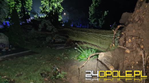 Blisko 150 interwencji strażaków po przejściu burzy na Opolszczyźnie