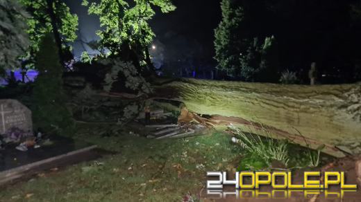 Blisko 150 interwencji strażaków po przejściu burzy na Opolszczyźnie