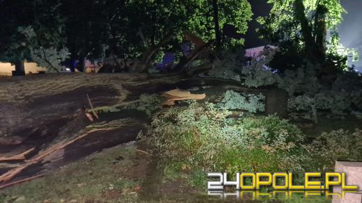 Blisko 150 interwencji strażaków po przejściu burzy na Opolszczyźnie