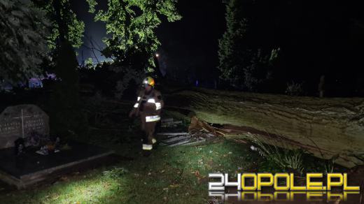 Blisko 150 interwencji strażaków po przejściu burzy na Opolszczyźnie