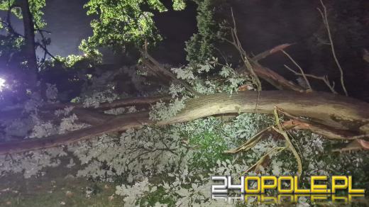 Blisko 150 interwencji strażaków po przejściu burzy na Opolszczyźnie