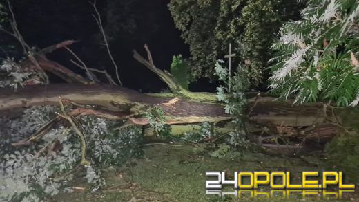 Blisko 150 interwencji strażaków po przejściu burzy na Opolszczyźnie