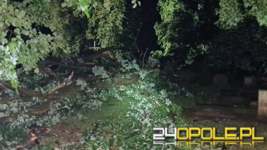 Blisko 150 interwencji strażaków po przejściu burzy na Opolszczyźnie