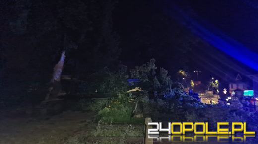 Blisko 150 interwencji strażaków po przejściu burzy na Opolszczyźnie