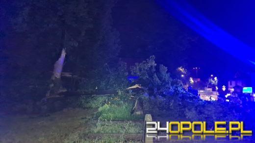 Blisko 150 interwencji strażaków po przejściu burzy na Opolszczyźnie